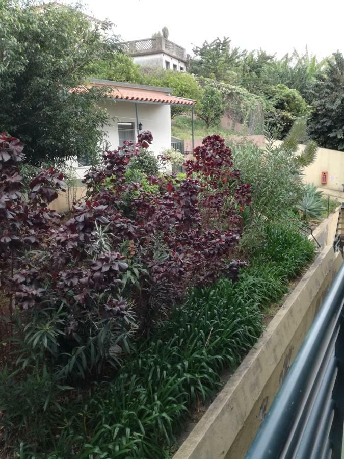 Madeira Funchal Gardens Apartment Екстериор снимка